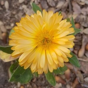 Meet your Posher, Arielle